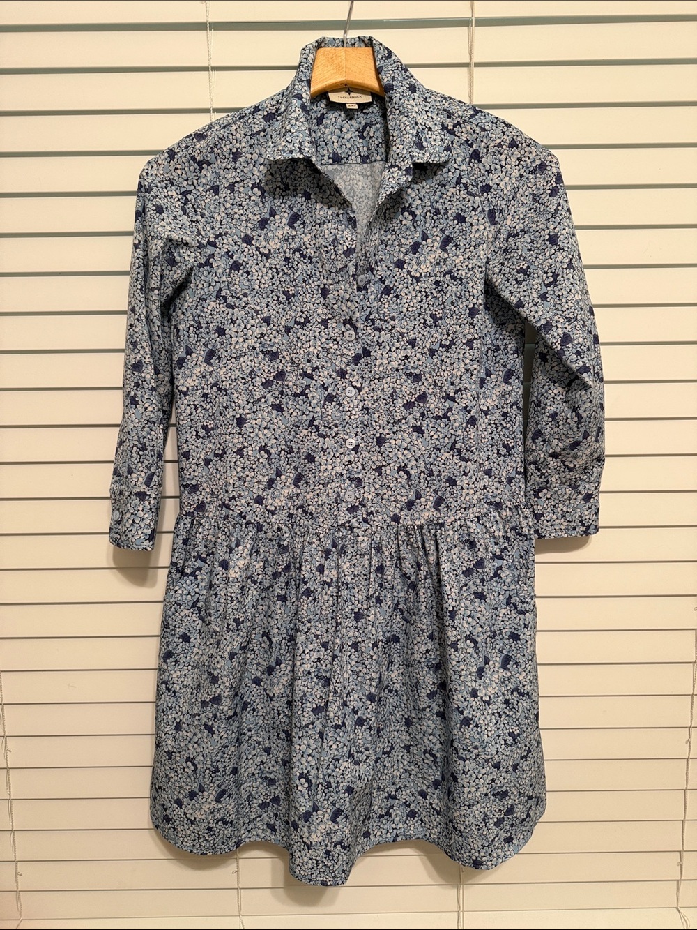 Tuckernuck Hayes Hydrangea Blue Size Shirt Dress size XXS